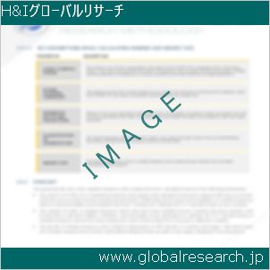 グローバルリサーチ調査レポートのイメージ